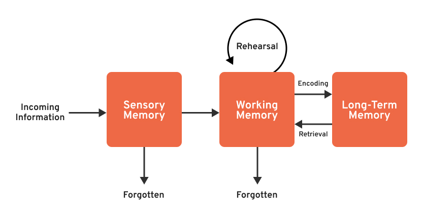How Neurodesign Is Reshaping User Experience neurodesign