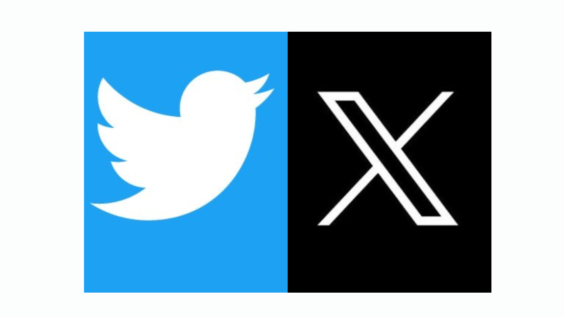Twitter X Logo 2023