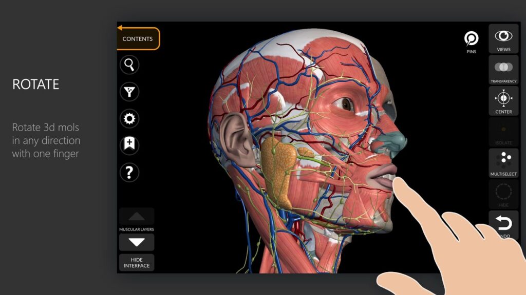 Why Immersive and Voice Interfaces Are the Next UX Frontier immersive interface